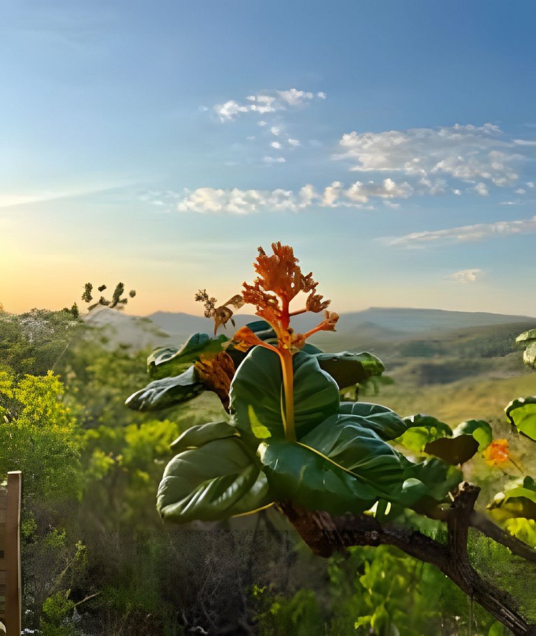 Cabanas do Ouro - Chalé Seriema